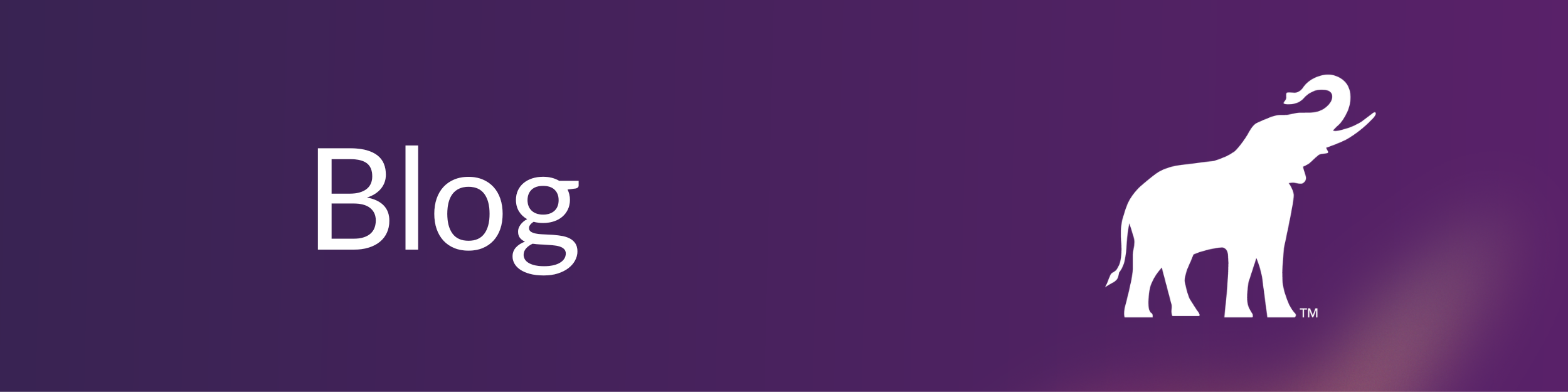 Neutral Gradient Bold Modern Minimalist Newsletter Email Header (2500 x 625 px) (1)